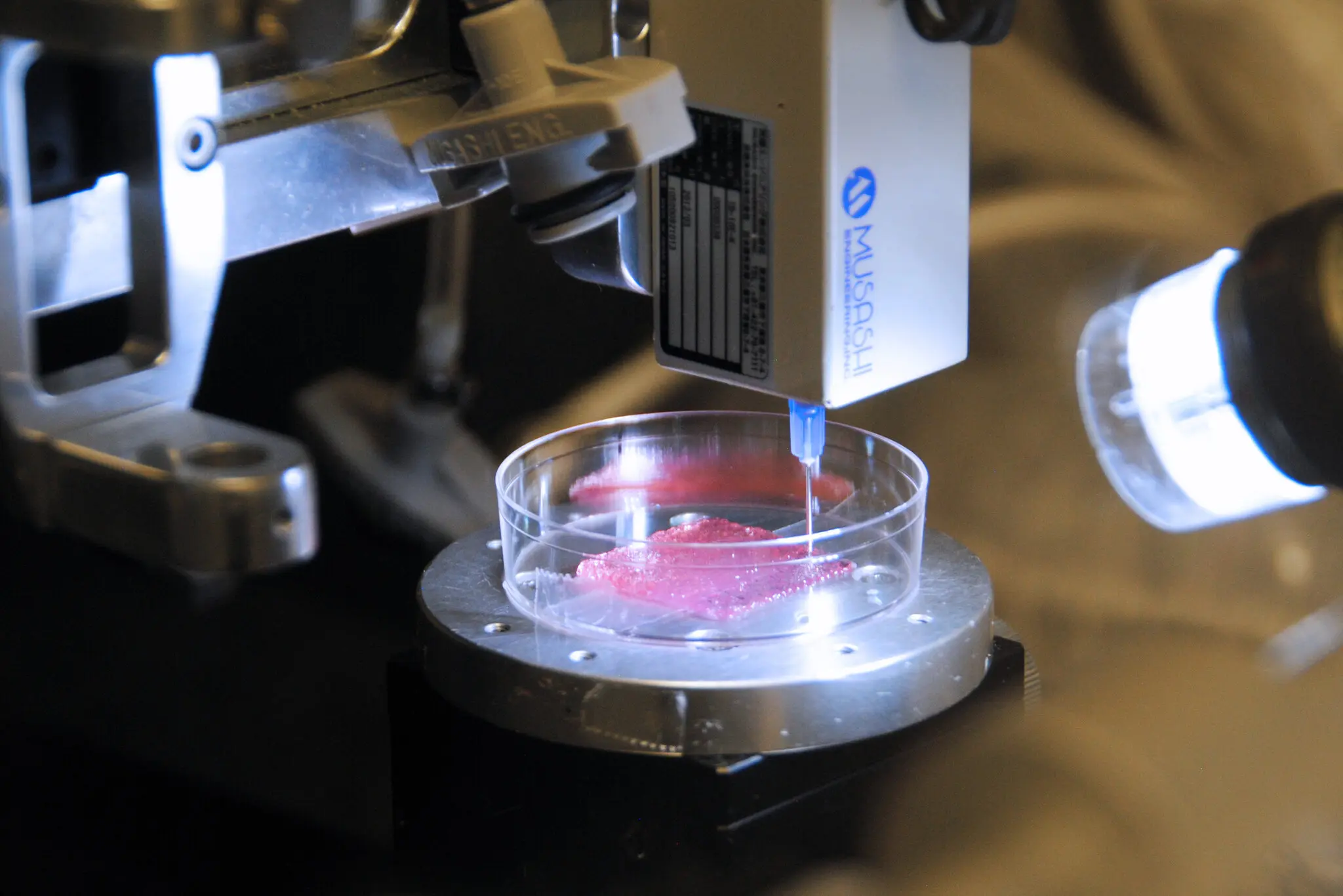 3-D bioprinter depositing living tissue into a petri dish